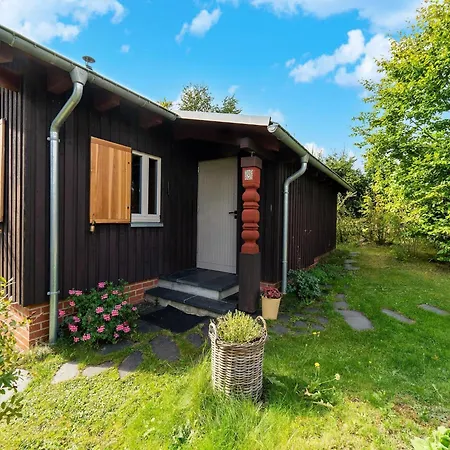 Forest-edge * Allrode