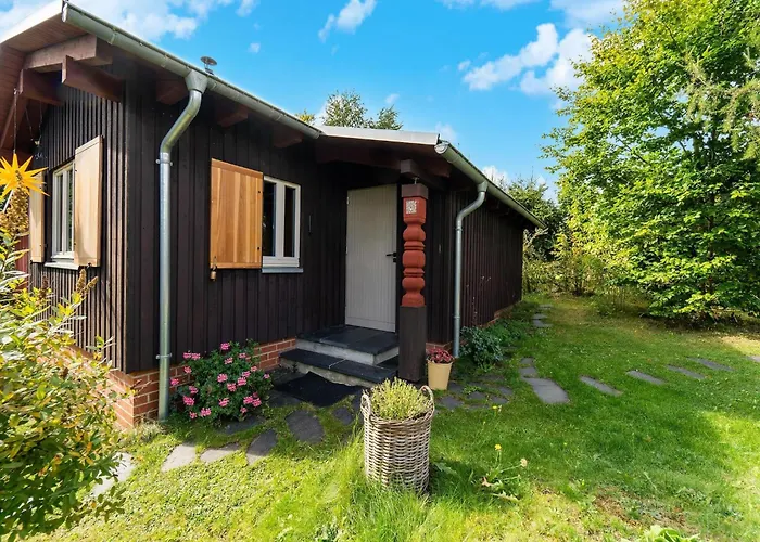 Forest-edge * Allrode